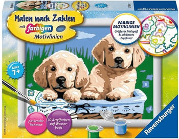 Ravensburger Malen nach Zahlen S&uuml;&szlig;e Hundewelpen