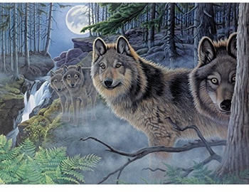 Royal & Langnickel Malen nach Zahlen Wölfe im Mondschein