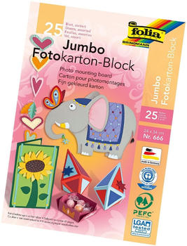 Folia Jumbo Fotokartonblock 24x34cm 300g/m² 25 Blatt