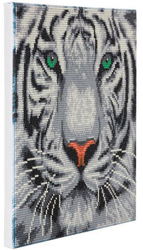 Craft Buddy Crystal Art Kit auf Holzrahmen-Leinwand Weißer Tiger 30 x 30 cm mehrfarbig (16370666)
