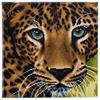 Crystal Art Leinwand Leopard 30x30cm CAK-A66