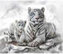 Pracht Creatives Hobby Diamond Painting Weiße Tigermama mit Jungtier 40x30 cm