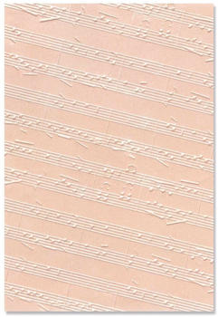 Sizzix 3D Textured Impressions Embossing Folder Musical Notes