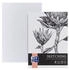Oxford Skizzenblock 400166109 Sketching A4 120 g/m² weiß geleimt 50 Blatt
