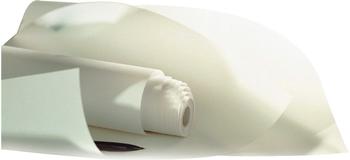 Canson Zeichenpapier 297 mm x 20 m Hochtransparent (C200012141)