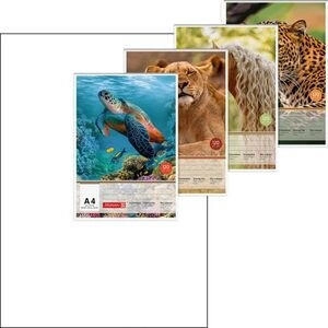 Brunnen Zeichenblock A4 Tiere 20 Blatt