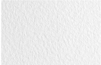 Fabriano Honsell 21297101 Tiziano Pastellpapier Bianco DIN A4 50 Blatt 160 g/m² hoch hadernhaltig säurefrei und alterungsbeständig griffige raue Oberfläche