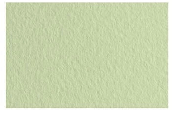 Fabriano Honsell 21297111 Tiziano Pastellpapier Verduzzo DIN A4 50 Blatt 160 g/m² hoch hadernhaltig säurefrei und alterungsbeständig griffige raue Oberfläche