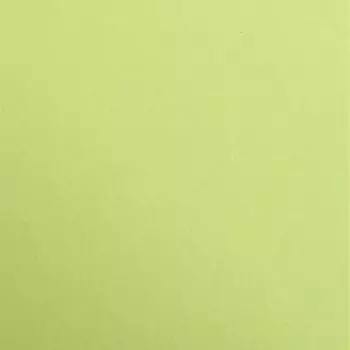 Clairefontaine 97352C Packung (mit 25 B&ouml;gen Zeichenpapier Maya DIN A4 21 x 29,7 cm 120g glatt ideal f&uuml;r Trockentechnik und Einrahmen) lindgr&uuml;n