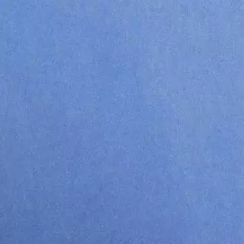 Clairefontaine 397278C Packung (mit 125 B&ouml;gen Zeichenpapier Maya 50 x 70 cm,270g glatt ideal f&uuml;r Trockentechnik und Einrahmen) K&ouml;nigsblau