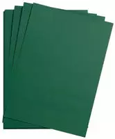 Clairefontaine Maya Fotokarton A1 270g 25 Bogen - Antikgr&uuml;n 97979C