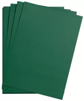 Clairefontaine 97979C Packung (mit 25 B&ouml;gen Zeichenpapier Maya DIN A1 59,4 x 84 cm 270g glatt ideal f&uuml;r Trockentechnik und Einrahmen) tannengr&uuml;n