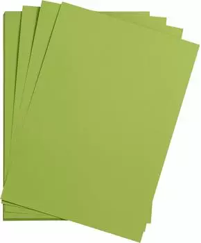 Clairefontaine Maya Bastelkarton A3 185g/m&sup2; 25 Bogen Moosgr&uuml;n (975352C)