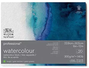Winsor & Newton Professional Aquarellpapier Block, Grobkorn, 300g/m², 22,9x30,5cm, 20 Blatt (6664010)