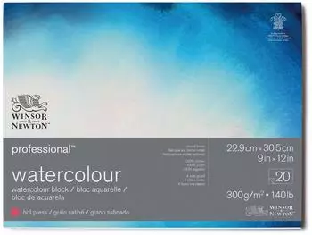 Winsor & Newton Professional Aquarellpapier Block 20 Blatt 22,9x30,5cm 300g/m² Satiniert (6664006)