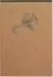 Clairefontaine 5x Block A5 70 Blatt liniert Motive sortiert - Braun 103636C