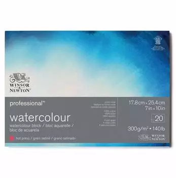 Winsor & Newton Professional Aquarellpapier Block Satiniert 300g/m² 17,8x25,4cm 20 Blatt (6664005)