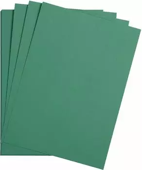 Clairefontaine Fotopapier Maya Bastelkarton A2 185g 25 Bogen - Tannengrün 975551C Ries Tannengrün 22 42 cm x 0,6 cm