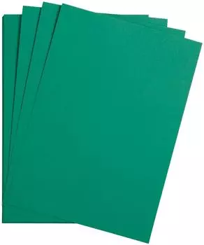 Clairefontaine 397251C Packung (mit 125 Bögen Zeichenpapier Maya 50 x 70 cm,270g glatt ideal für Trockentechnik und Einrahmen) Tannengrün
