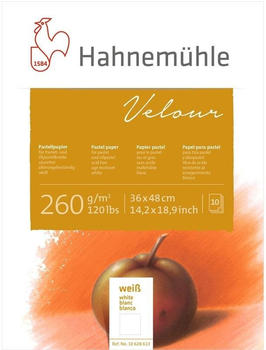 Hahnemühle FineArt Hahnemühle Pastellpapier Velour Block weiß 260g/m 36x48cm 10 Blatt (10628613)