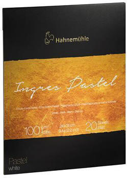 Hahnemühle FineArt Hahnemühle Ingres Pastel 30 x 40 cm 9 Farben 20 Blatt (10625122)
