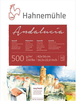 Hahnemühle Andalucía Aquarellkarton 42 x 56 cm 12 Blatt weiß (10628527)