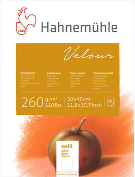 Hahnemühle FineArt Hahnemühle Velour Pastellpapier Block 260 g/m² 30 x 40 cm 10 Blatt weiß (10628612)