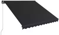 vidaXL Einziehbare Markise Handbetrieben 300 x 250 cm Anthrazit