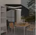 vidaXL Markise Automatisch mit Rollo, LED & Windsensor, 3x2,5m, Anthrazit (3069394)