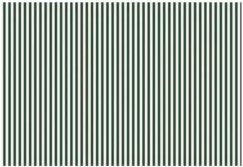 vidaXL Markisenersatzstoff gr&uuml;n/wei&szlig; 400x350cm Polyester (3444464)