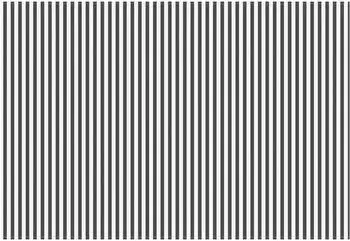 vidaXL Markisenersatzstoff anthrazit/wei&szlig; 600x350cm Polyester (3444288)