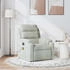 vidaXL Massagesessel Manuell Samt (373511)