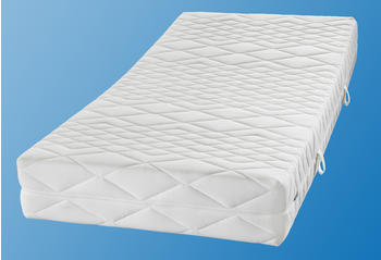 MALIE 462 Federn Lisa 90x220cm H3 MALIE 462 Federn Lisa 90x220cm H3