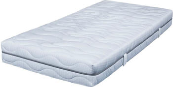 Breckle Seasonsleep TFK 1000 90x200cm flexibel (0-120kg)