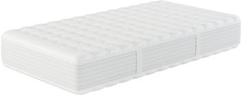 Hn8 Schlafsysteme XXL Gelstar T-1000 100x200cm H3