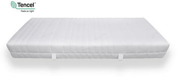 AM Qualitätsmatratzen Premium 7-Zonen Kaltschaummatratze 80x200cm H3 AM Qualitätsmatratzen Premium 7-Zonen Kaltschaummatratze 80x200cm H3