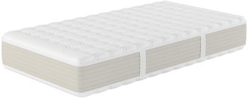 Hn8 Schlafsysteme XXL Gelstar T-1000 80x200cm H3 Hn8 Schlafsysteme XXL Gelstar T-1000 80x200cm H3