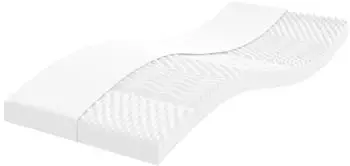 vidaXL Schaumstoffmatratze 7-Zonen 100x200cm 20 ILD (356353)