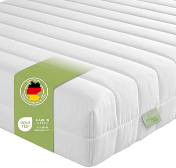 Dream Star Easy Flex 140x200cm H2+H3