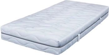 Breckle Seasonsleep TFK 1000 120x200cm flexibel (0-100kg)