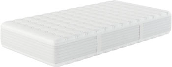 Hn8 Schlafsysteme XXL Gelstar KS 80x200cm H3