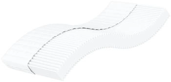 vidaXL Schaumstoffmatratze 100x220cm (4016640)