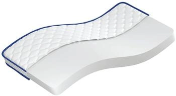 vidaXL Memory-Schaum-Matratze 90x190x17 cm Weich Weiß (4013418)