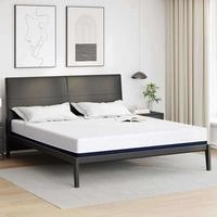 vidaXL Matratze Wei&szlig; und Blau 200 x 200 cm Jacquard-Stoff