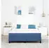 vidaXL Taschenfederkernmatratze Blau Mittelhart 160x200x20cm Stoff (42008299)