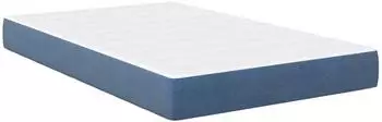 vidaXL Taschenfederkernmatratze Blau Mittelhart 120x190x20cm Stoff (42008279)