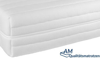 AM Qualitätsmatratzen Hochwertiger Matratzenbezug Tencel 120 x 200 x 21 cm