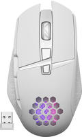 defender GLORY GM-514 Maus rechts RF Wireless Optisch - Maus - 3.200 dpi