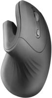 Mars Gaming SOURIS SANS FIL ERGONOMIQUE MMW-ErgoPro NOIR - Maus - 3.200 dpi