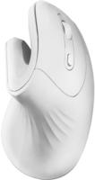 Mars Gaming SOURIS SANS FIL ERGONOMIQUE MMW-ErgoPro BLANC - Maus - 3.200 dpi